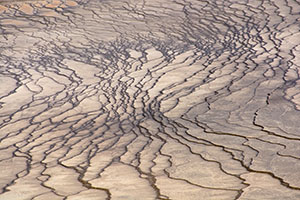 Yellowstone-land
